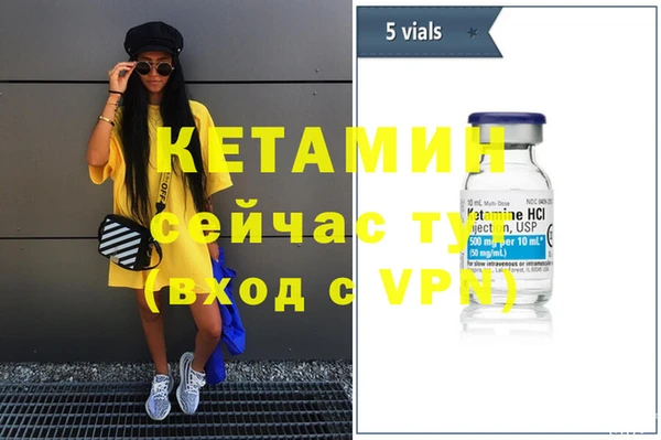 шишки Дмитров