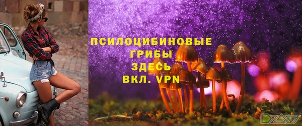 spice Бутурлиновка