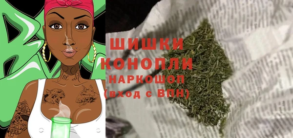 шишки Дмитров