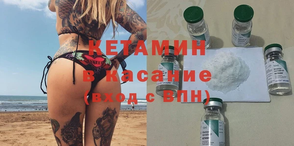 шишки Дмитров