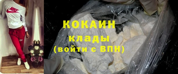 шишки Дмитров