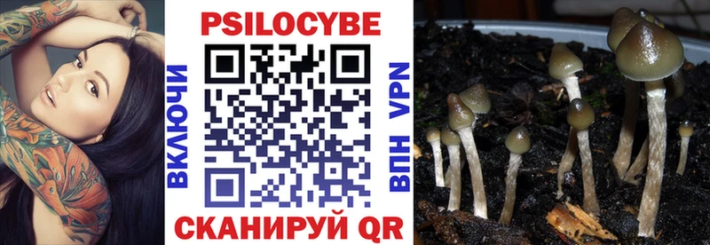 hydra tor  Елизово  Псилоцибиновые грибы Cubensis 