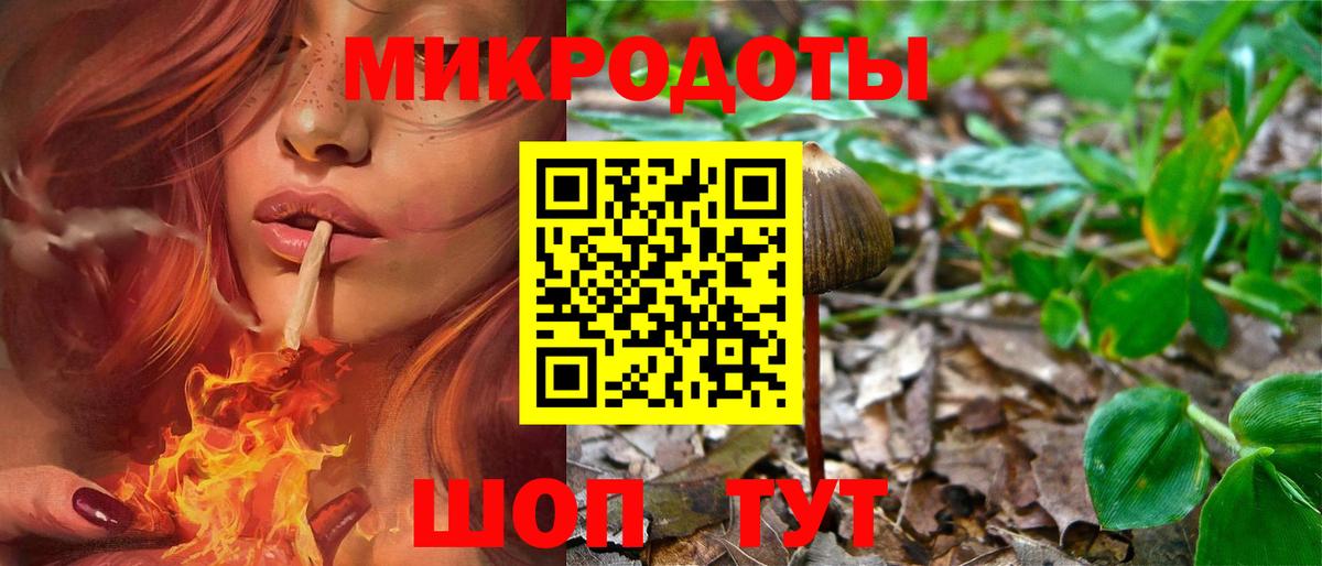 Псилоцибиновые грибы GOLDEN TEACHER Елизово
