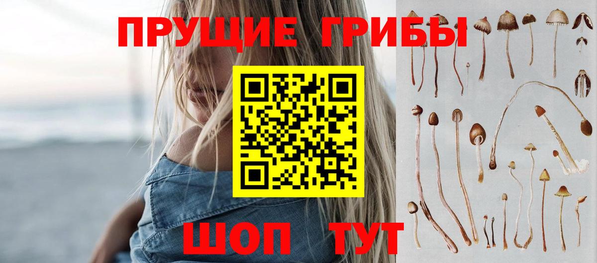 Елизово  Галлюциногенные грибы Cubensis  Вход с VPN 